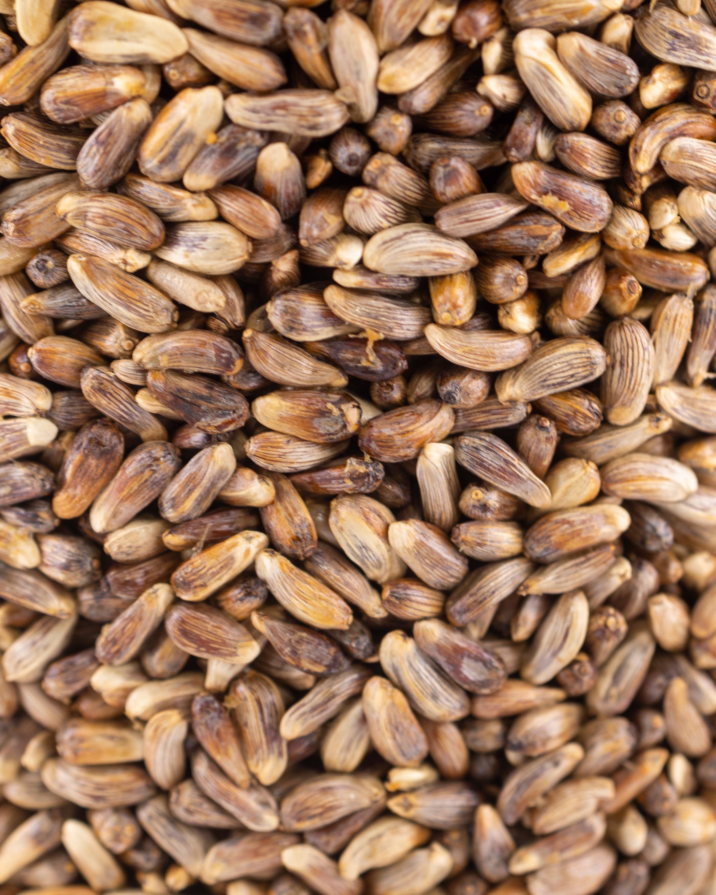 Nutrasaff Bird Seed Cylinder