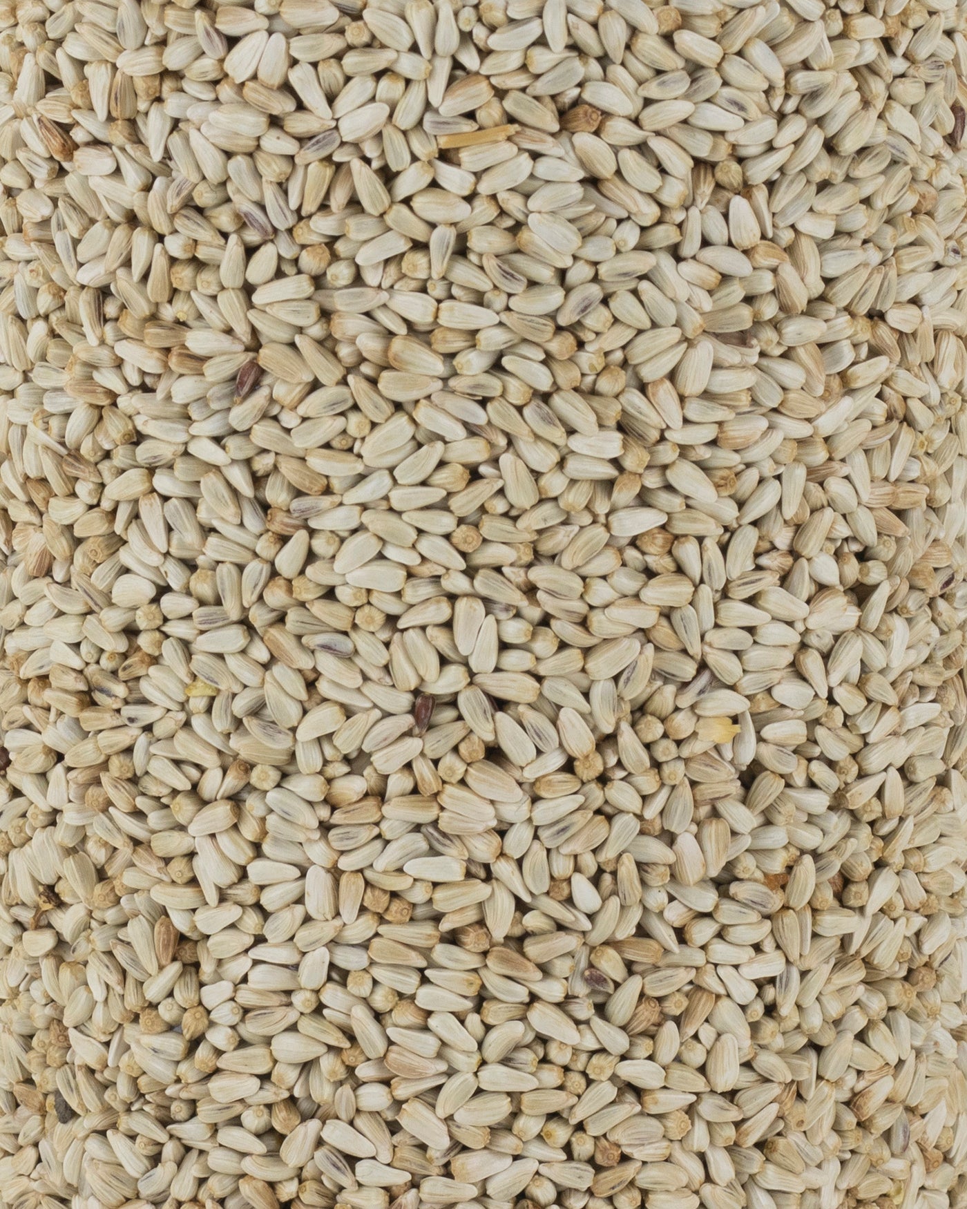 Safflower Bird Seed Cylinder